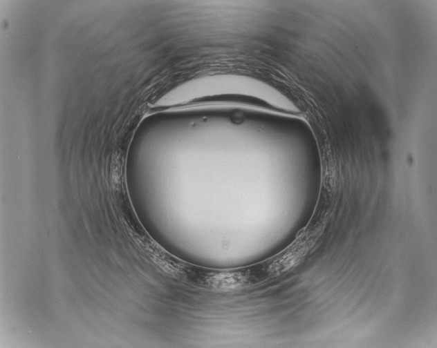 X0000070880277200607150154