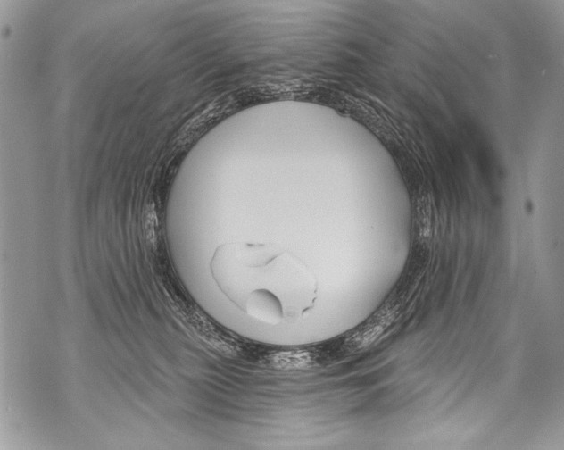 X0000070880279200607150154