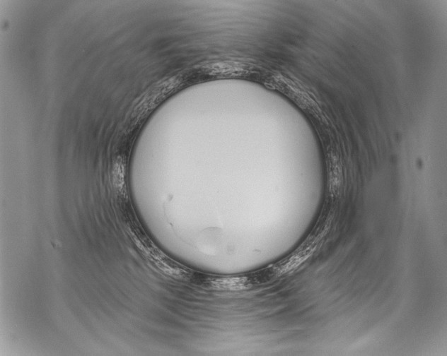 X0000070880281200607150154