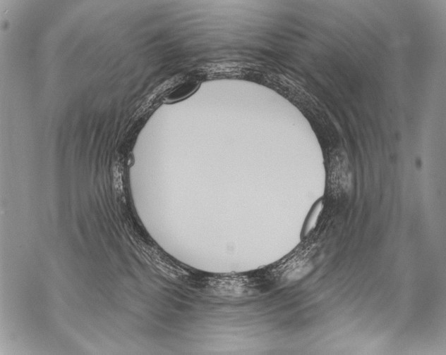 X0000070880282200607150154