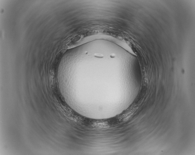 X0000070880283200607150154