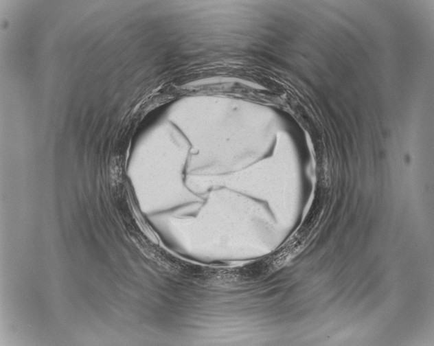 X0000070880284200607150154