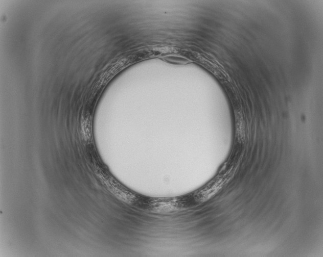 X0000070880285200607150154