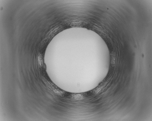 X0000070880287200607150154