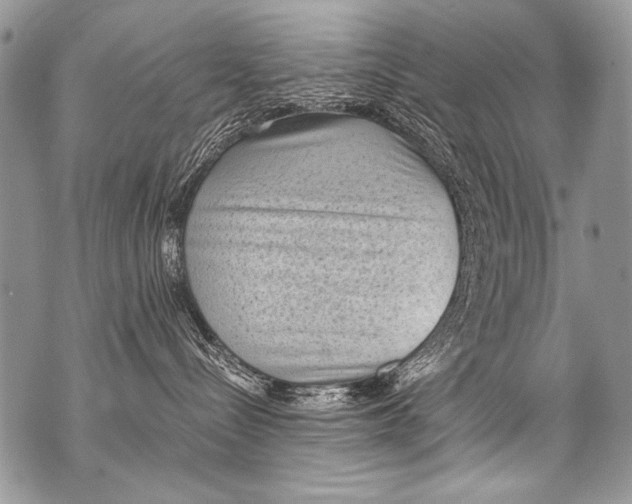 X0000070880288200607150154