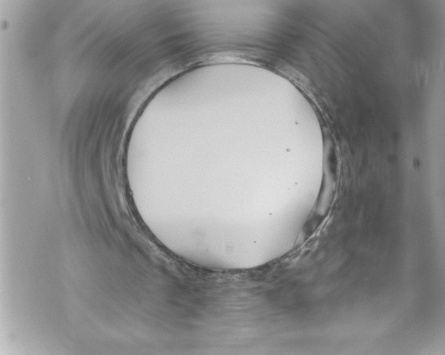 X0000070880289200607150153