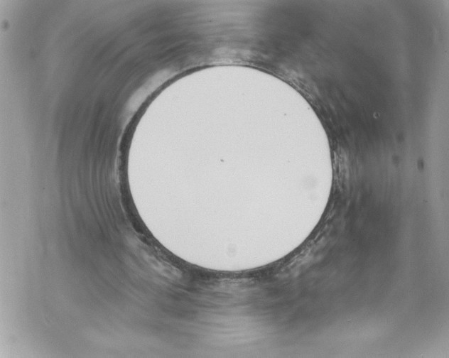 X0000070880292200607150153