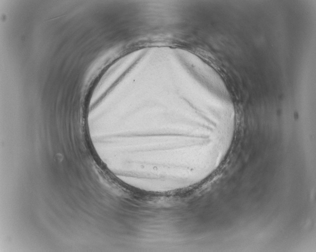 X0000070880293200607150153