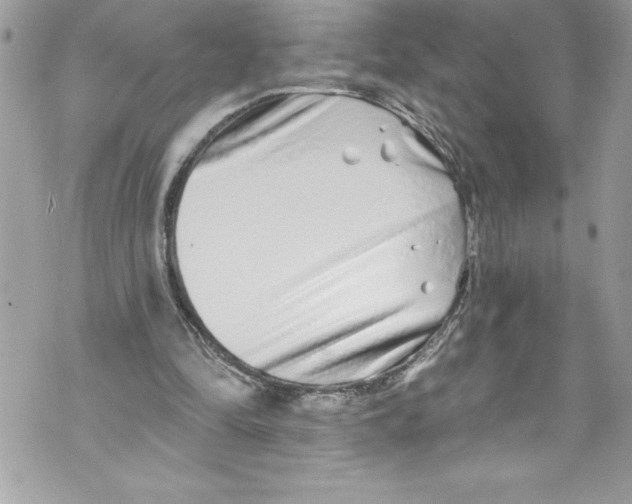 X0000070880294200607150153