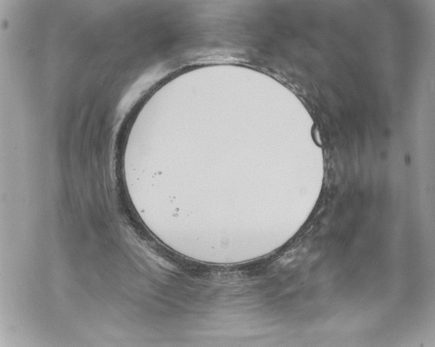 X0000070880296200607150153