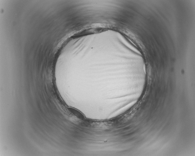 X0000070880297200607150153