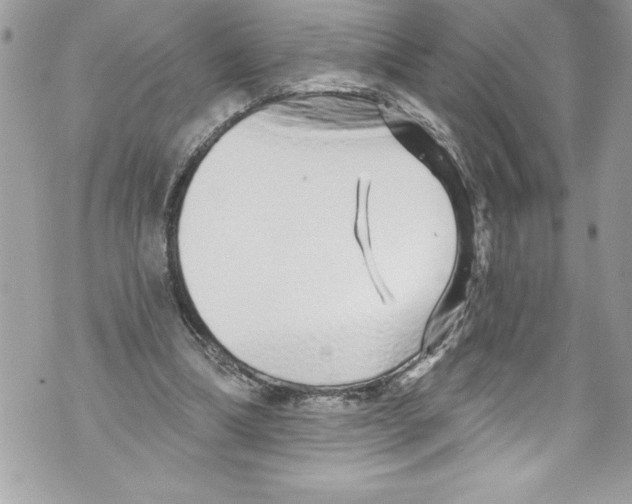 X0000070880298200607150153