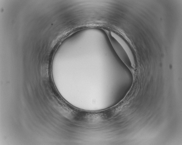 X0000070880299200607150153