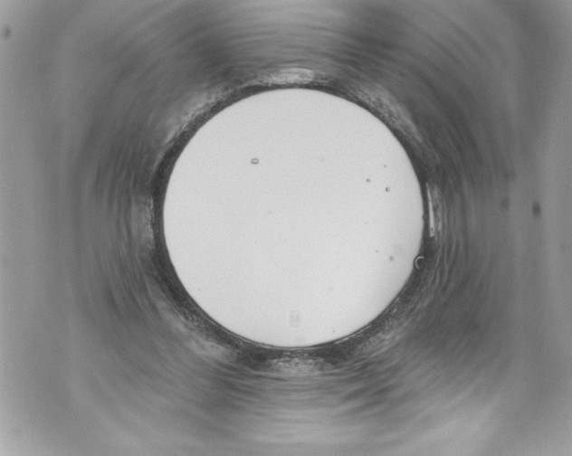 X0000070880300200607150153