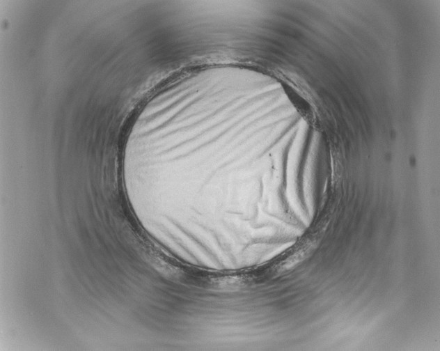 X0000070880301200607150153