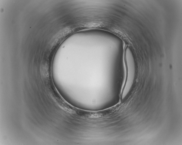 X0000070880303200607150153