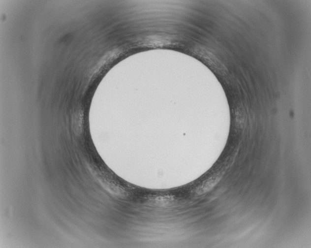 X0000070880304200607150153