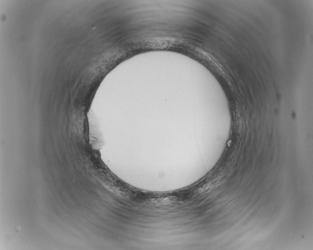 X0000070880307200607150153