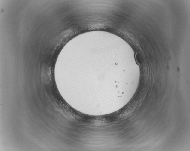 X0000070880308200607150153