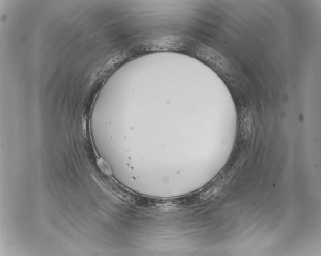 X0000070880310200607150153