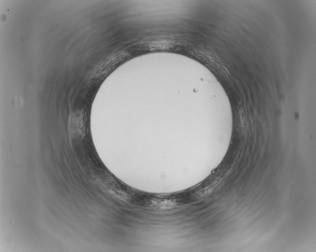 X0000070880311200607150153