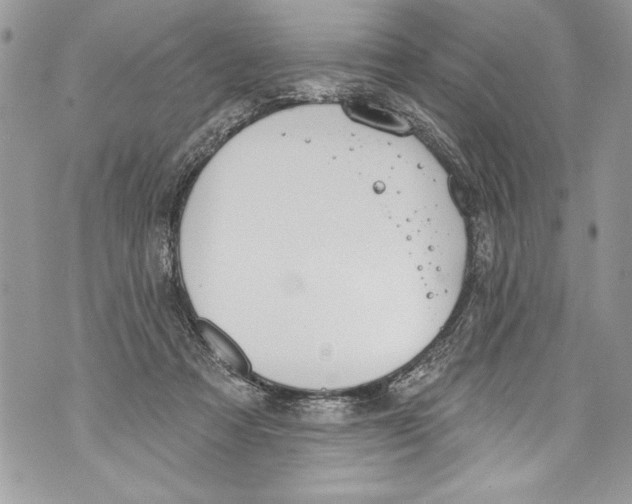 X0000070880313200607150153