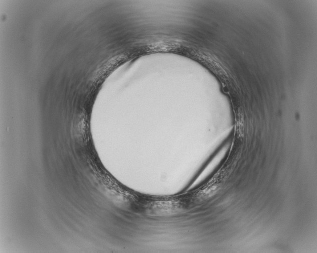 X0000070880314200607150153