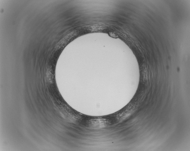 X0000070880316200607150153