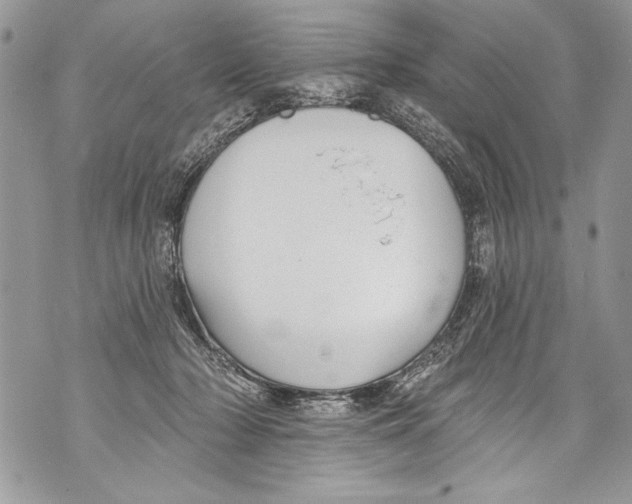 X0000070880318200607150153