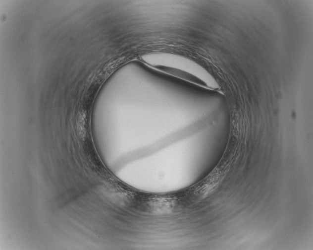 X0000070880319200607150152