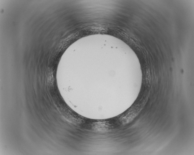 X0000070880320200607150152