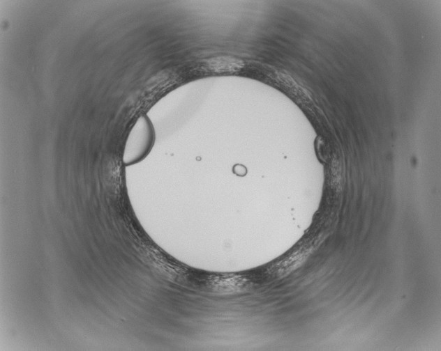 X0000070880321200607150152