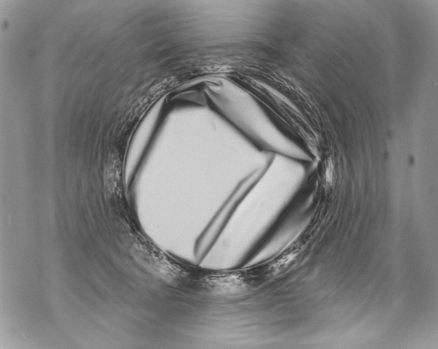 X0000070880322200607150152