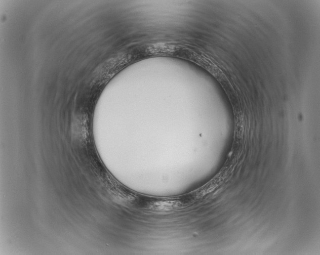 X0000070880323200607150152