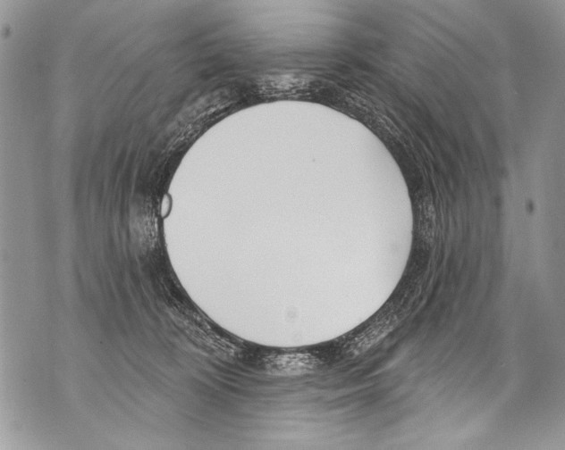 X0000070880324200607150152