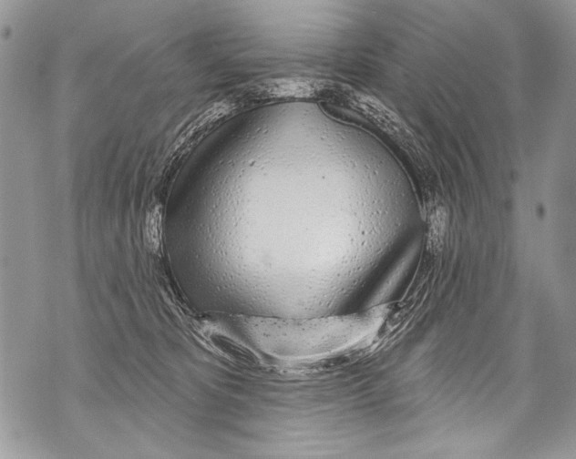 X0000070880325200607150152