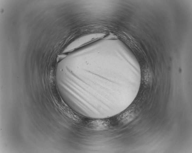 X0000070880326200607150152