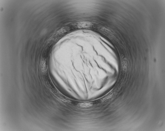 X0000070880327200607150152