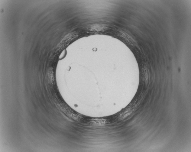 X0000070880328200607150152