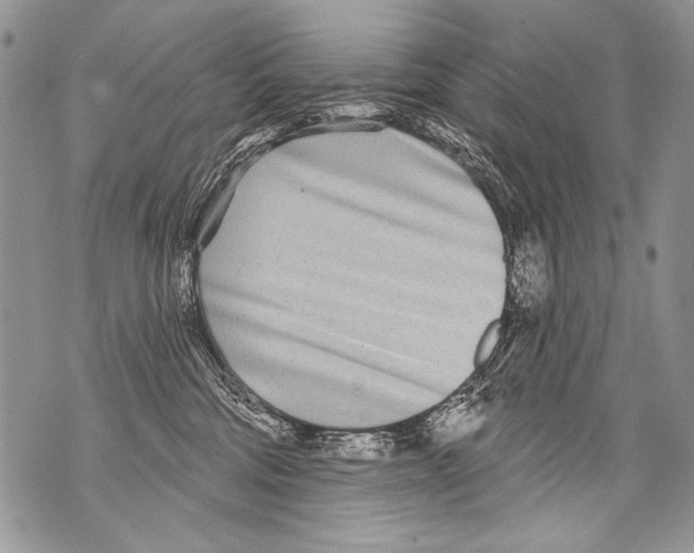 X0000070880330200607150152