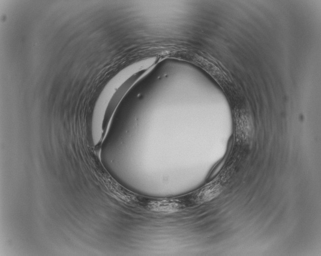 X0000070880331200607150152