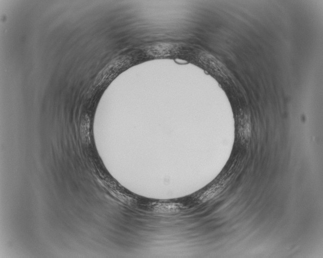 X0000070880332200607150152