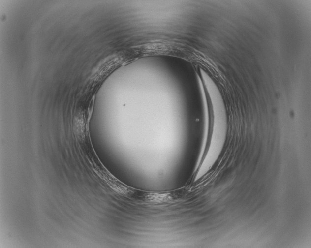 X0000070880333200607150152