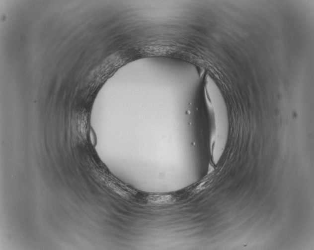 X0000070880334200607150152