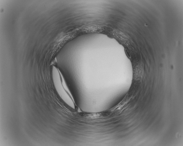 X0000070880335200607150152