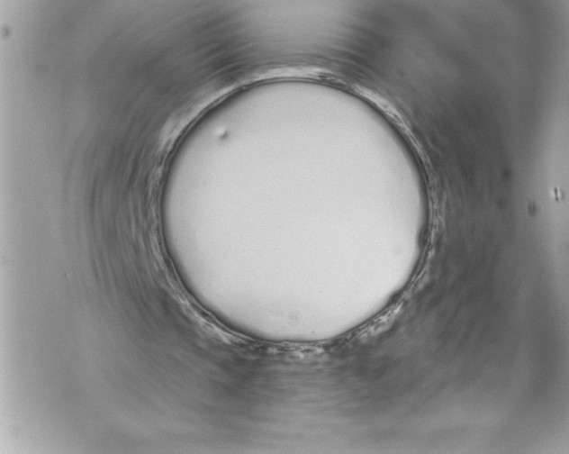 X0000070880337200607150151