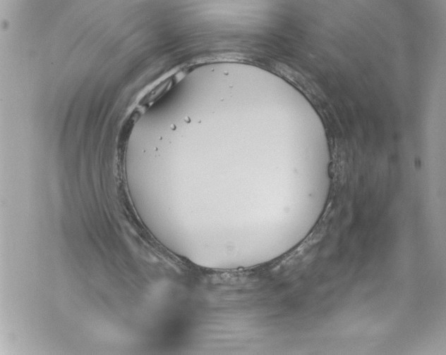 X0000070880338200607150151