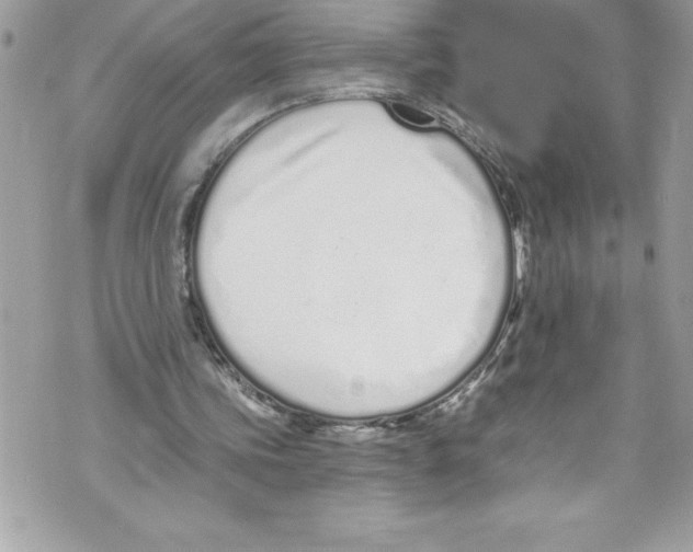 X0000070880339200607150151