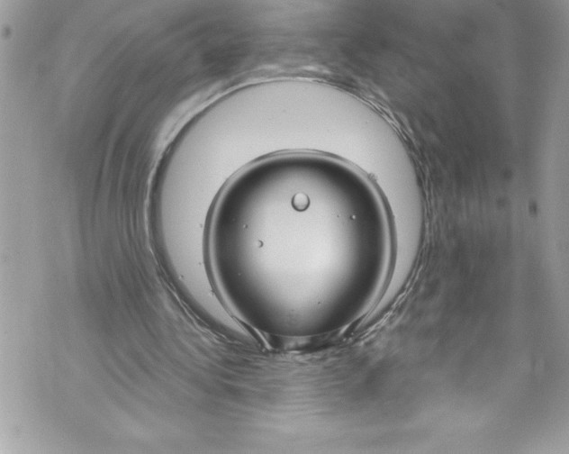 X0000070880340200607150151