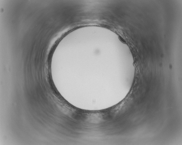 X0000070880342200607150152